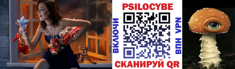 Купить где Курлово Псилоцибиновые грибы Psilocybine cubensis