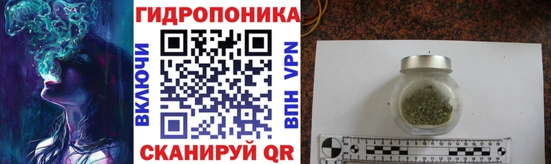 Конопля Amnesia  Купить закладки  Курлово 